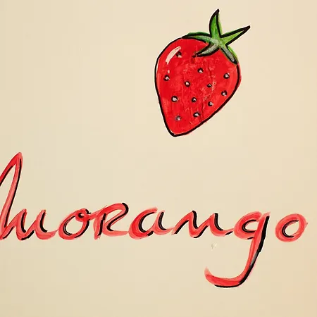 Surf Camp 에리세이라