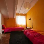 Hostel Surf Camp *