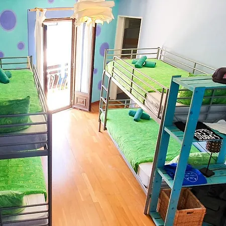 Surf Camp *