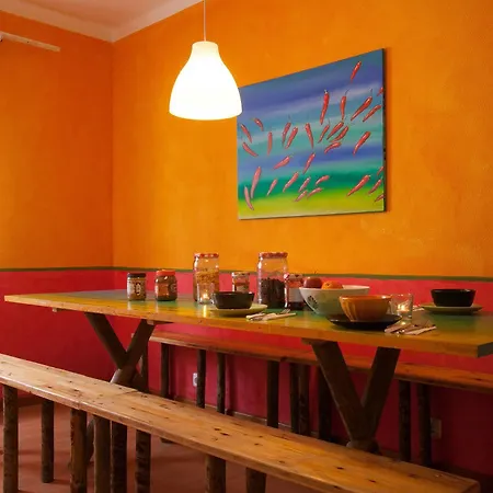 Surf Camp * Ericeira