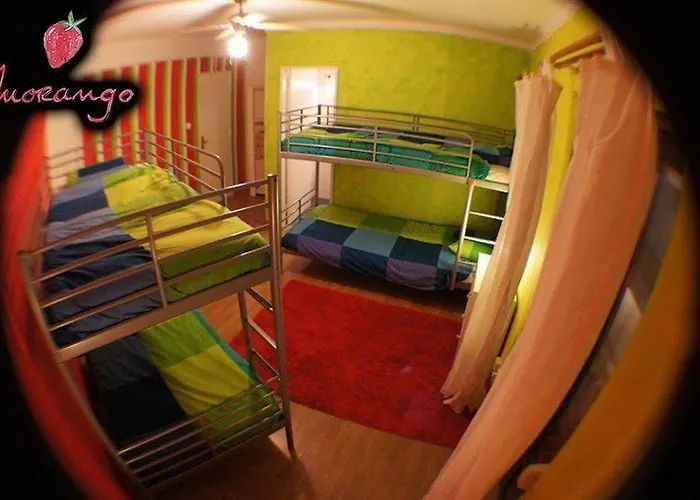 Surf Camp Albergue *